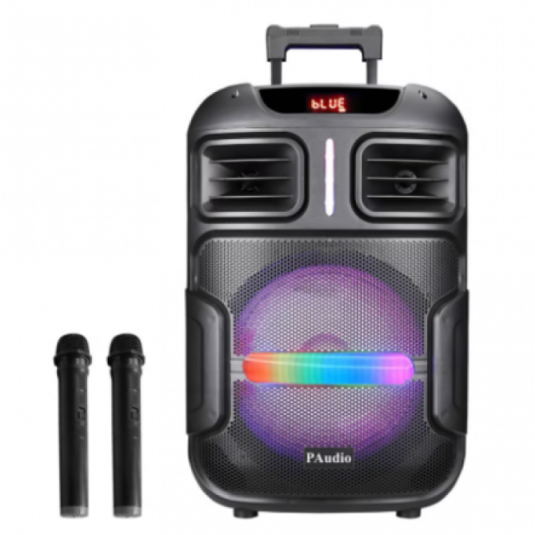 Караоке тонколона WYNGR BT-1200 12"