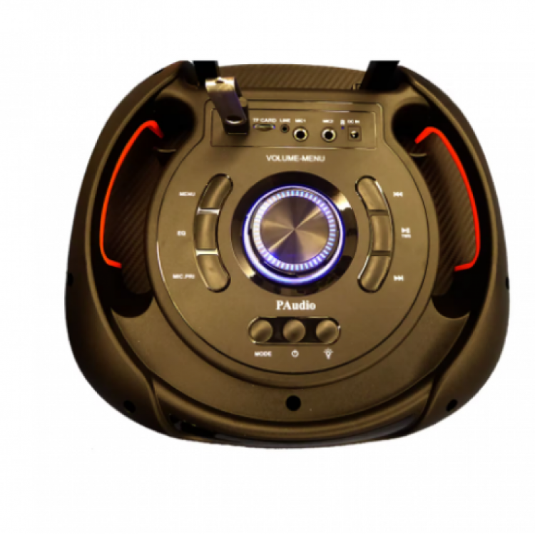 Караоке тонколона WYNGR BT-1200 12"