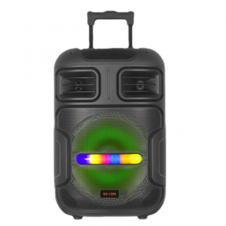 Караоке тонколона WYNGR BT-1200 12"