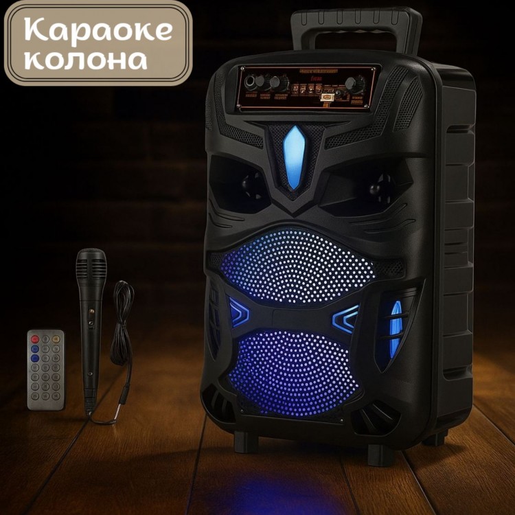 Караоке колона NDR-P55