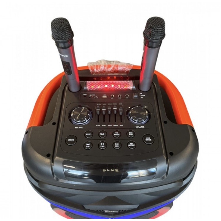 Караоке колона WGY-1801 18"