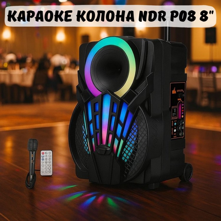 Караоке колона NDR-P08 8"