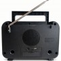 Соларно радио FP2393S