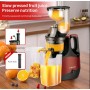 Професионална бавна сокоизстисквачка за студено пресоване Sokany SK-01005, 800W